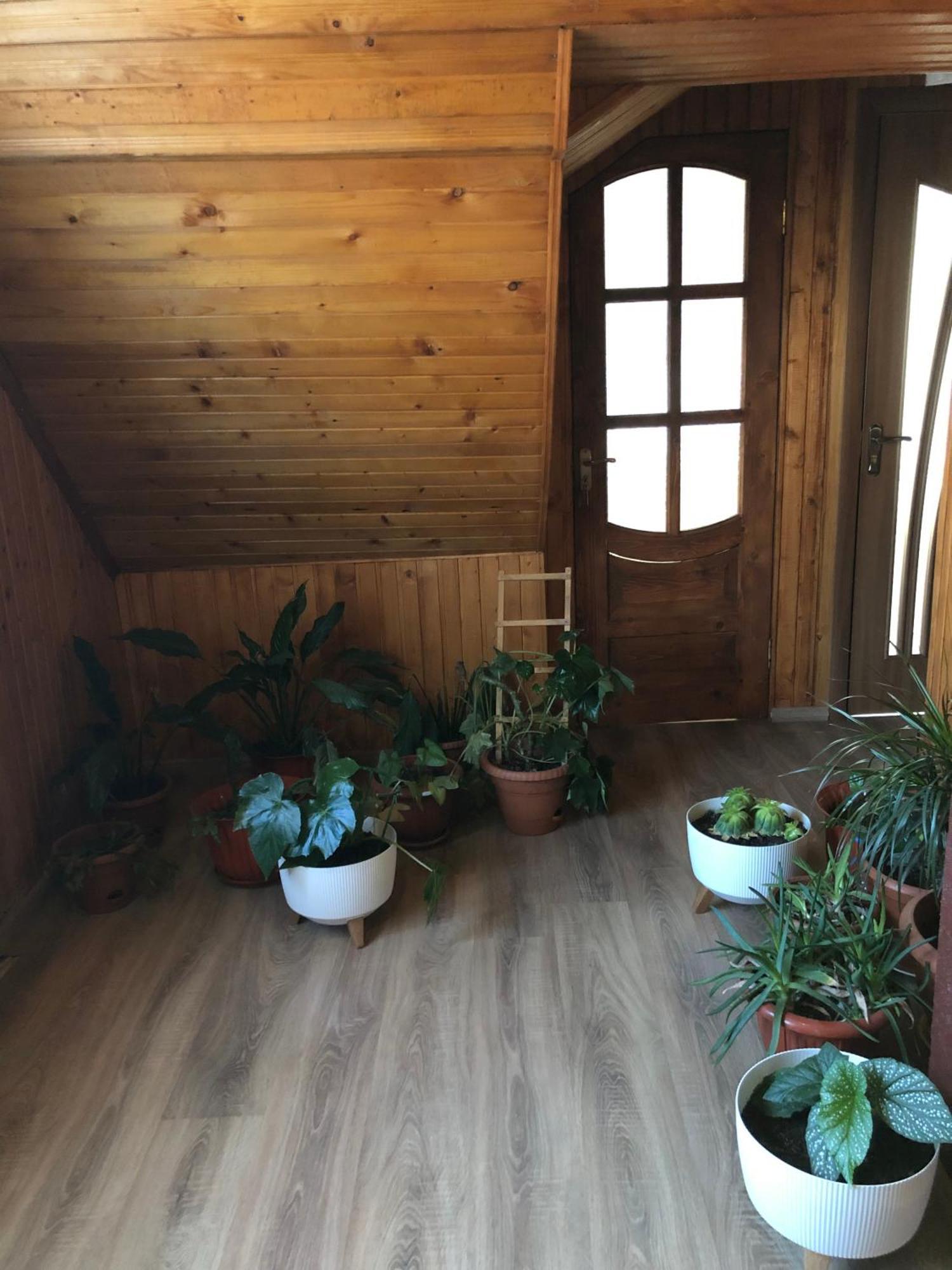Vila House Mold Lazeščyna Exteriér fotografie